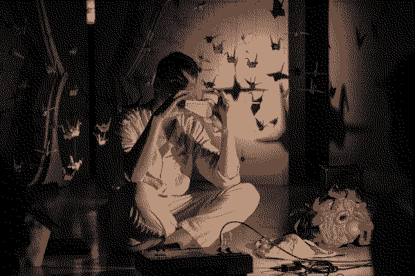 Pássaros Imaginários